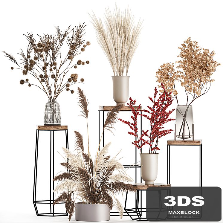 Bouquet set 212. Dried flower, vase, decor, shelf, branches, thorns, pampas grass