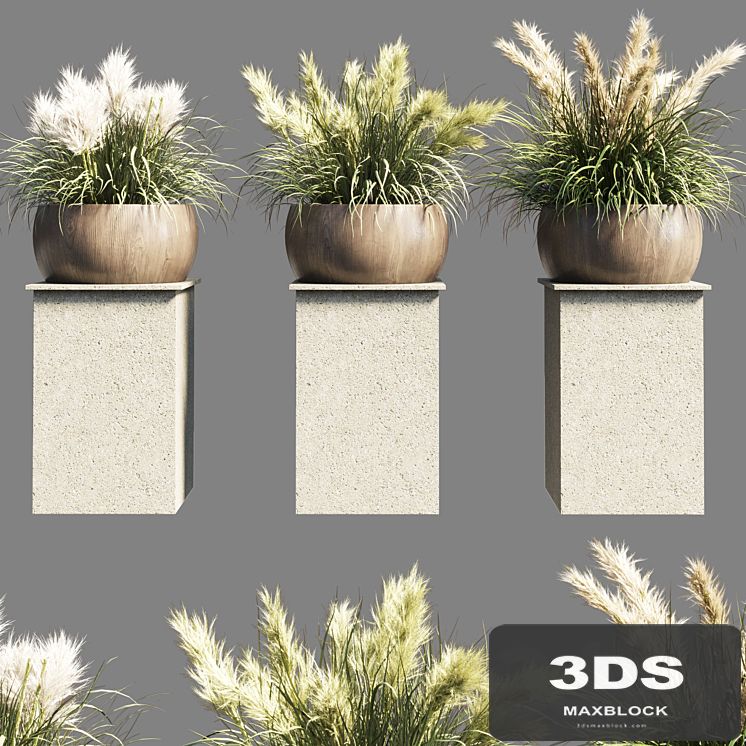 Collection outdoor indoor 70 pot palnt grass the dry pampas stand vase wooden