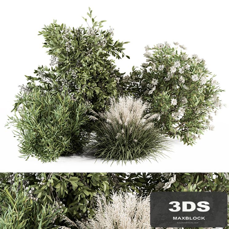 Mixed Plant Bush - Bush Set 49