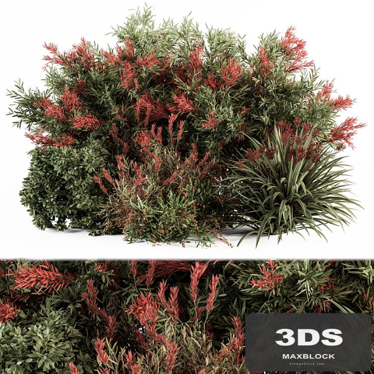 Mixed Plant Bush Green and Red - Bush Set 51