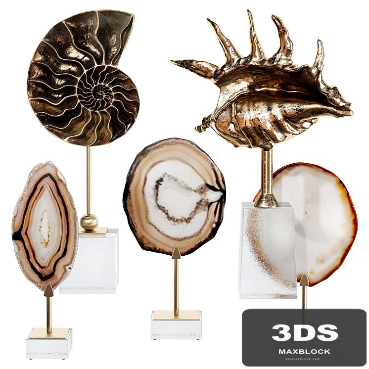 Sea shell decorative set 02