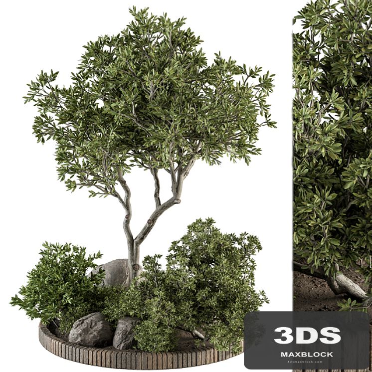Garden Set Plants - Outdoor Plants Set 333
