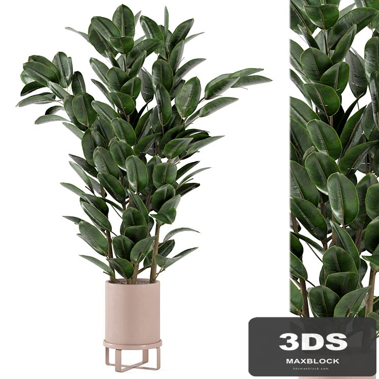 Indoor Plants in Ferm Living Bau Pot Large - Set 346