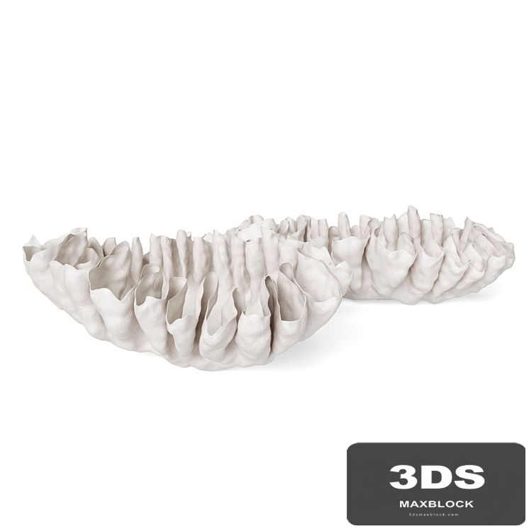 Svetlana Levadnaja Shell Vase