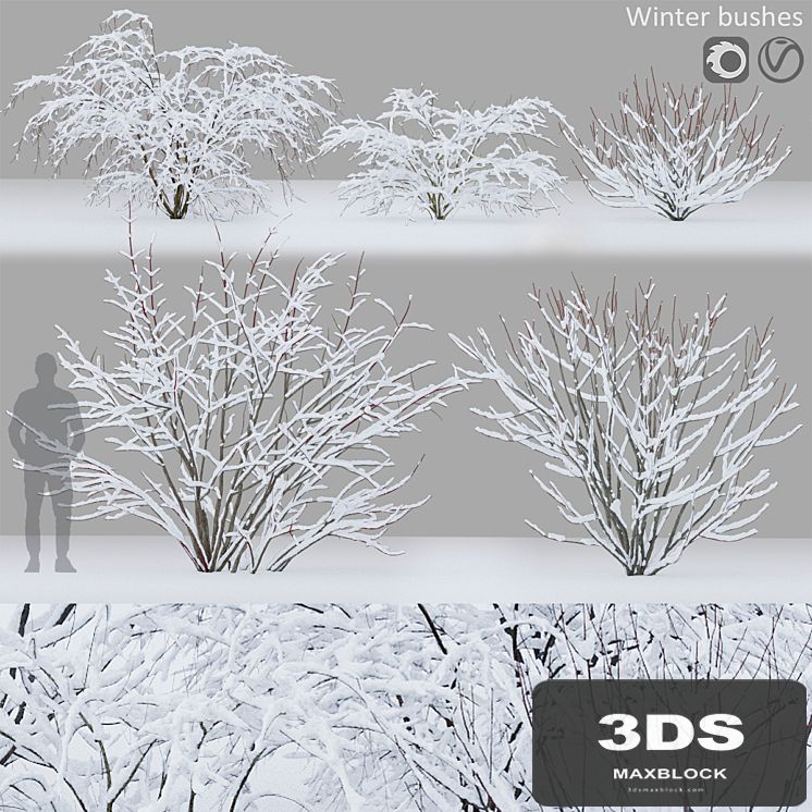 Winter bushes # 1