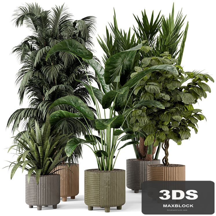 Indoor Planters in Cecilia Ficonstone Pot - Set 349