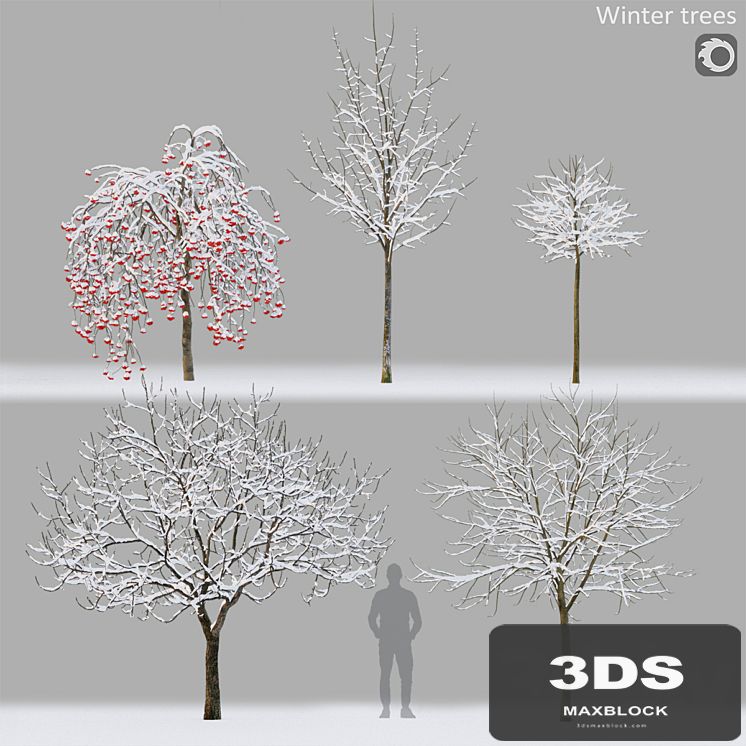 Winter trees # 1