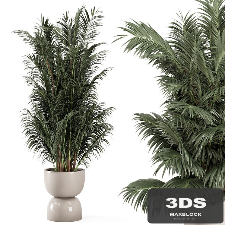 Indoor Plants in rusty Concrete Pot - Set 352