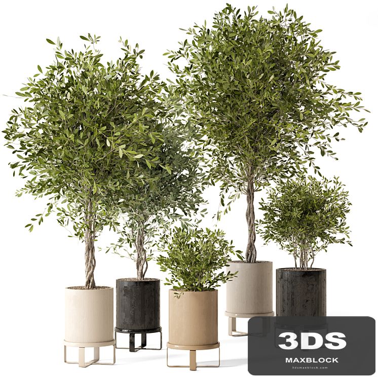 Indoor Plants in Ferm Living Bau Pot Large - Set 354