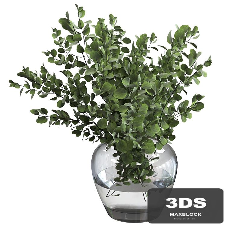 Bouquet green