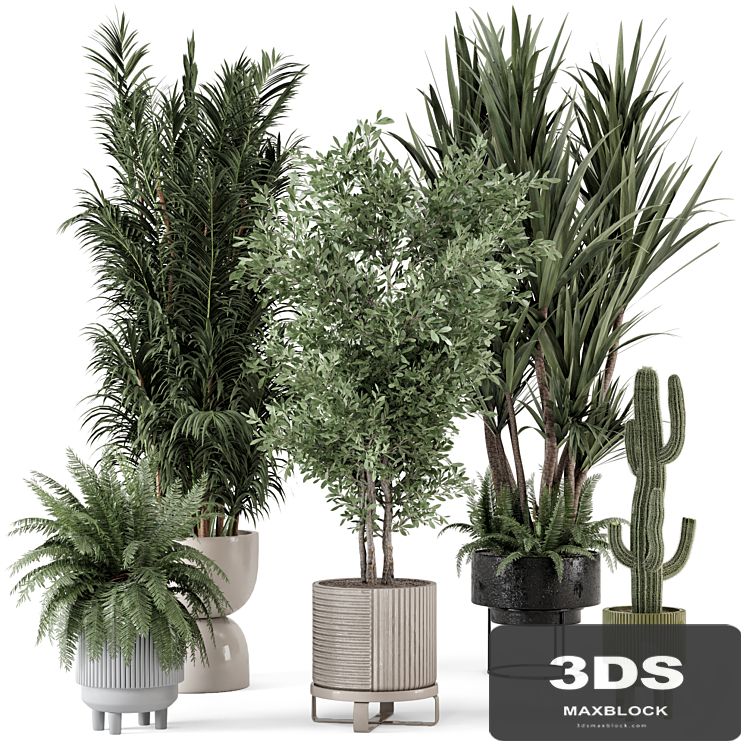 Indoor Plants in Ferm Living Bau Pot Large - Set 362