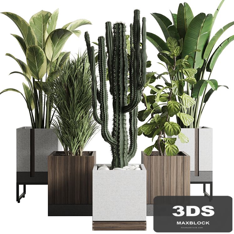 Plant box_Indoor outdoor plant 163 wooden and concrete dirt vase box pot palm cactus Collection