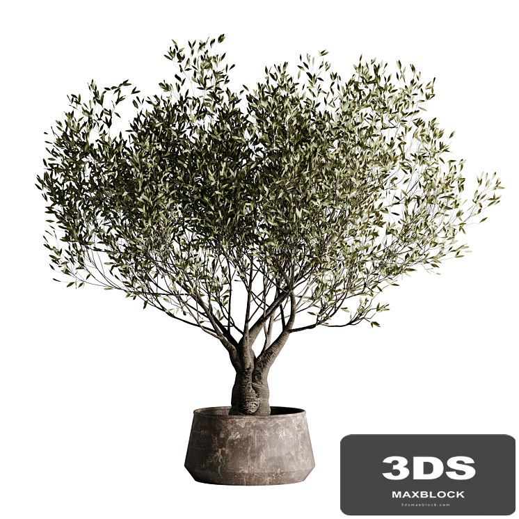 indoor plant set 09