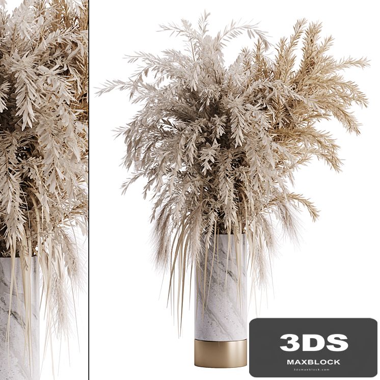 Dry plant set 01