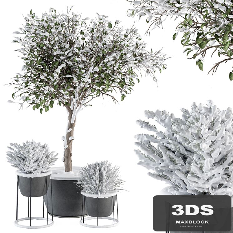 Outdoor Plants in Pot Snowy - Set 346