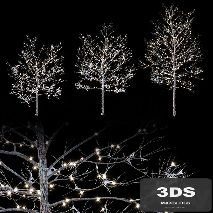 Trees in the snow with a luminous garland