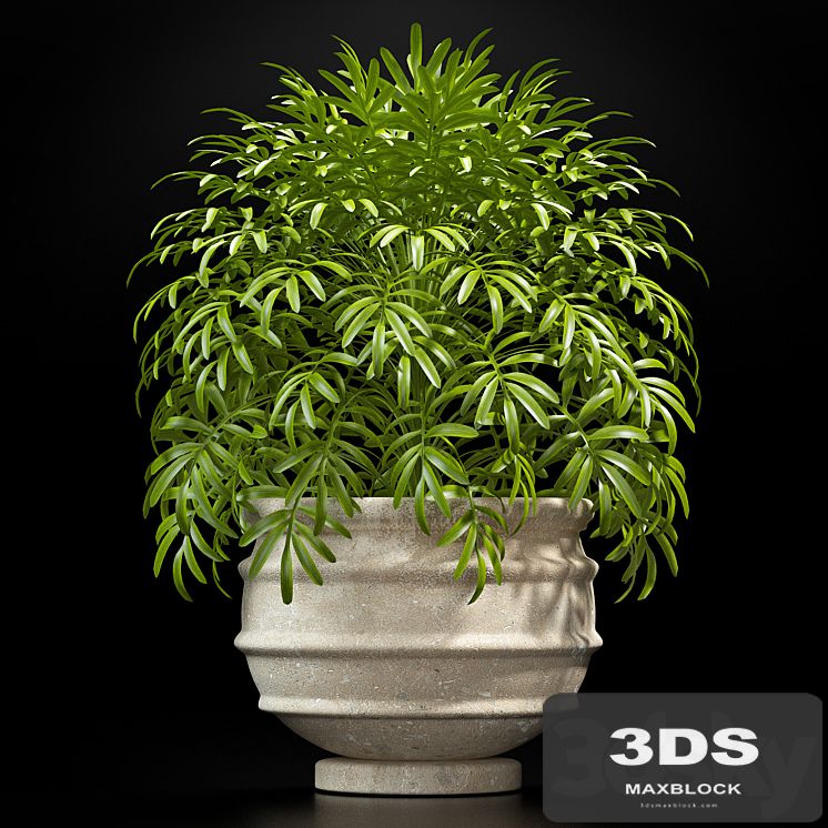 PLANTS 8