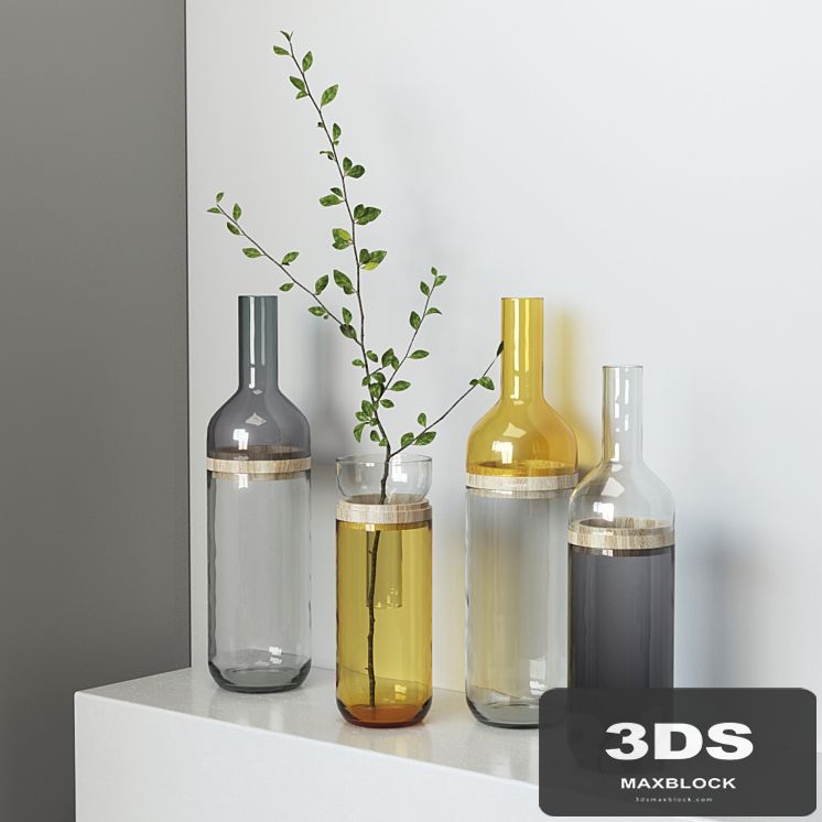 Bottle Vase Duo set dekotivnyh vases