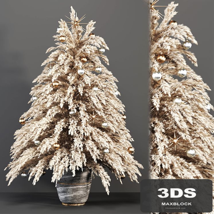 Christmas tree - Dried Plant-002