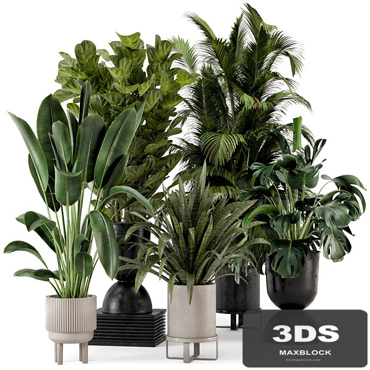 Indoor Plants in Ferm Living Bau Pot Large - Set 376
