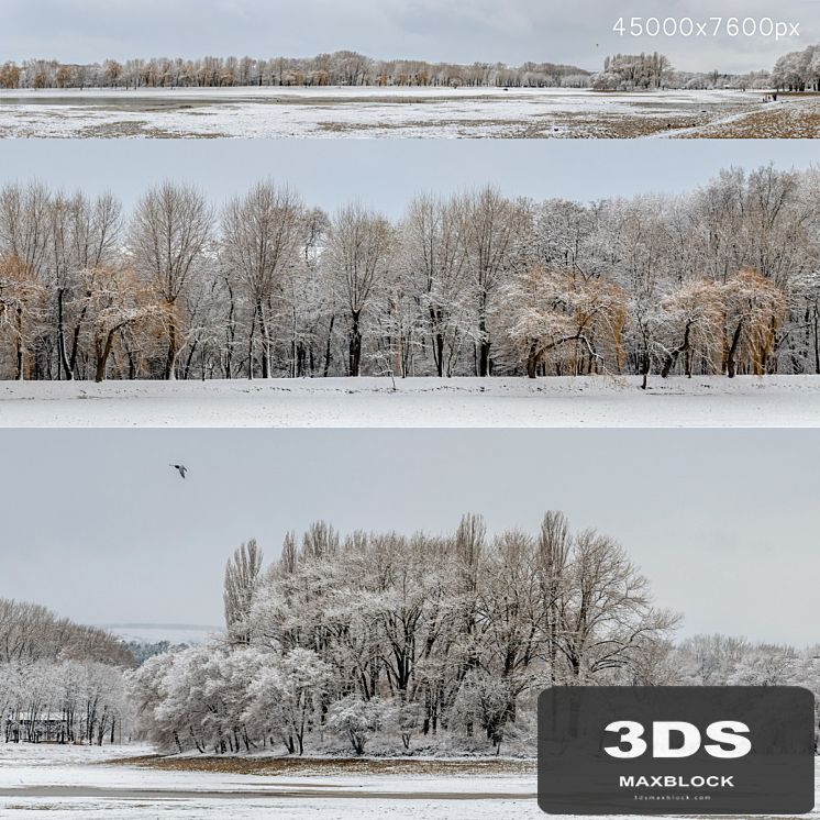 Panorama of the park with a lake and snow-covered trees. 45k