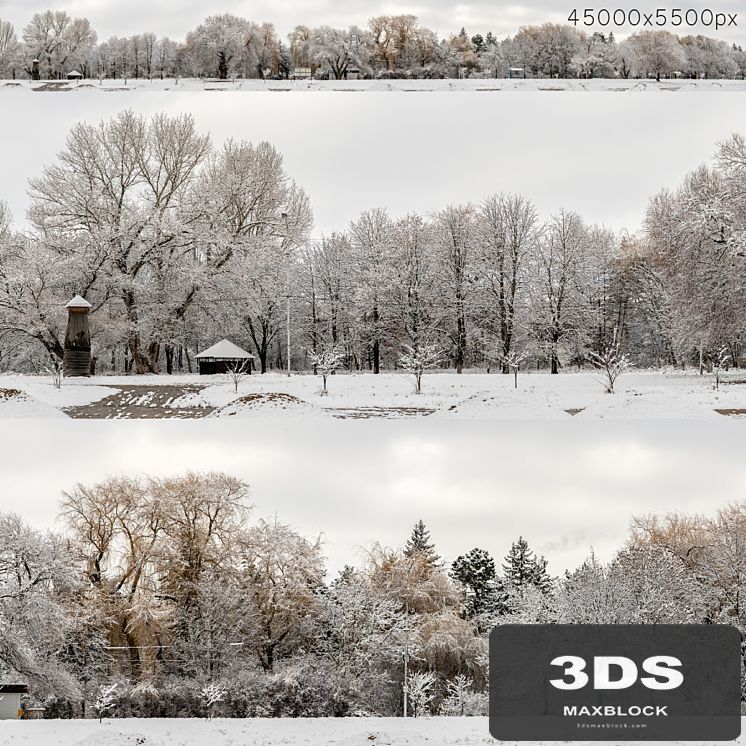 Panorama of the park and snow-covered trees. 45k