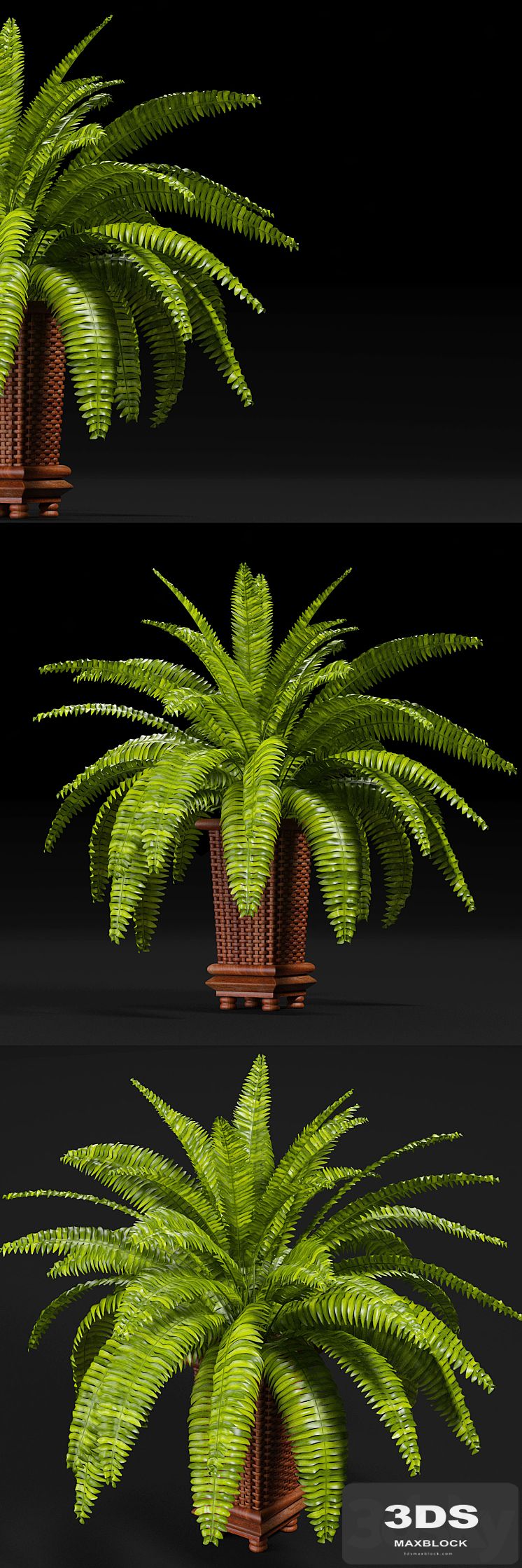 PLANTS 9