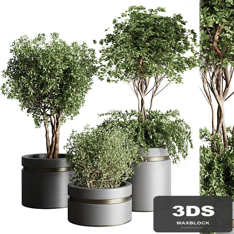 Tree pots and shrubs-bush collection 74 metal vase for outdoor indoor