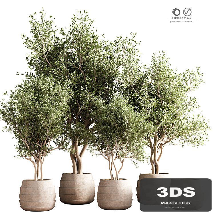 indoor plant stand 40
