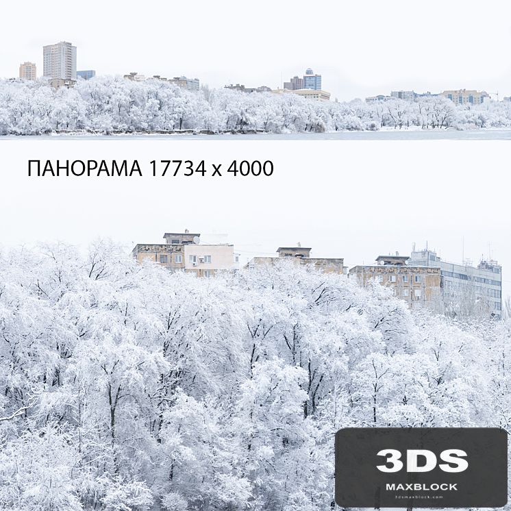Winter panorama