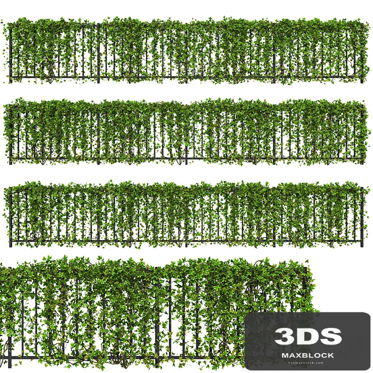 Fence with Ivy v16