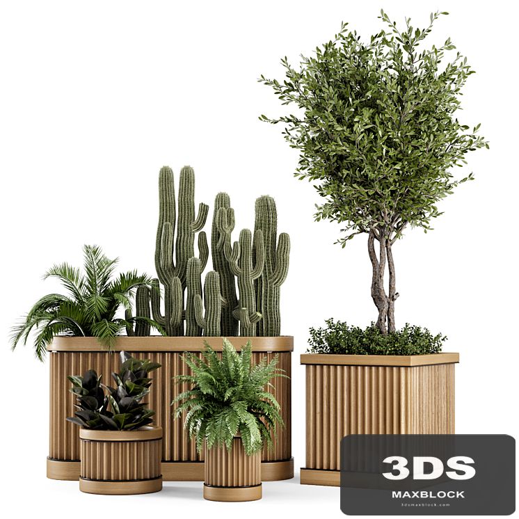 Indoor Plants Bush and Tree in Wooden Pot - Set 401