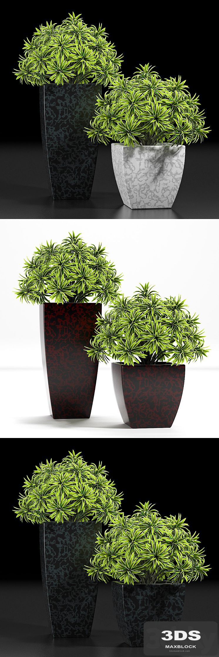 PLANTS 10