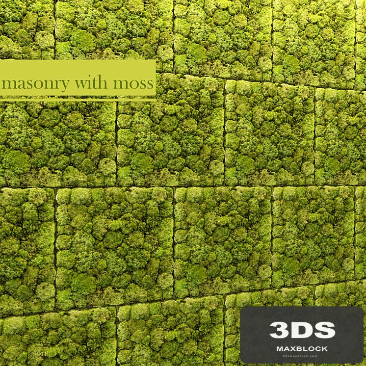 Stone and moss