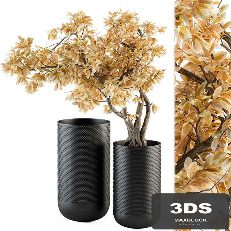 Bouquet Set - Autumn Branch in Black Vase 78