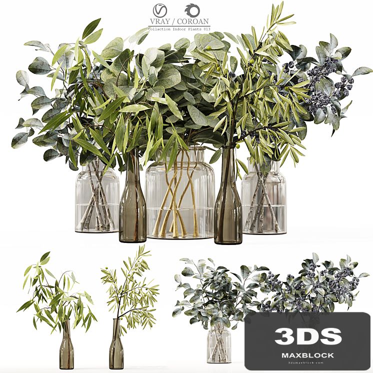 Collection Indoor Plants 013