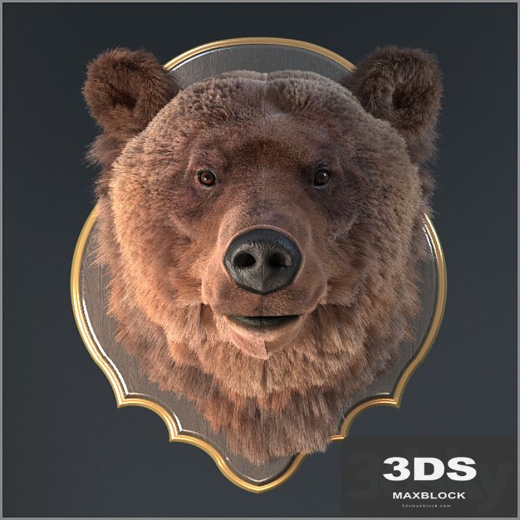 Bear