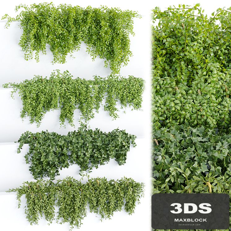 Hanging wall plants collection vol 64