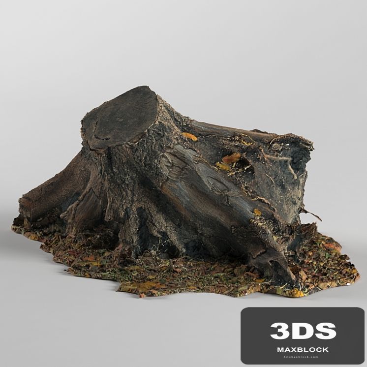 Stump