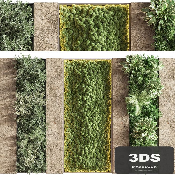 Concrete and Vertical Garden 02