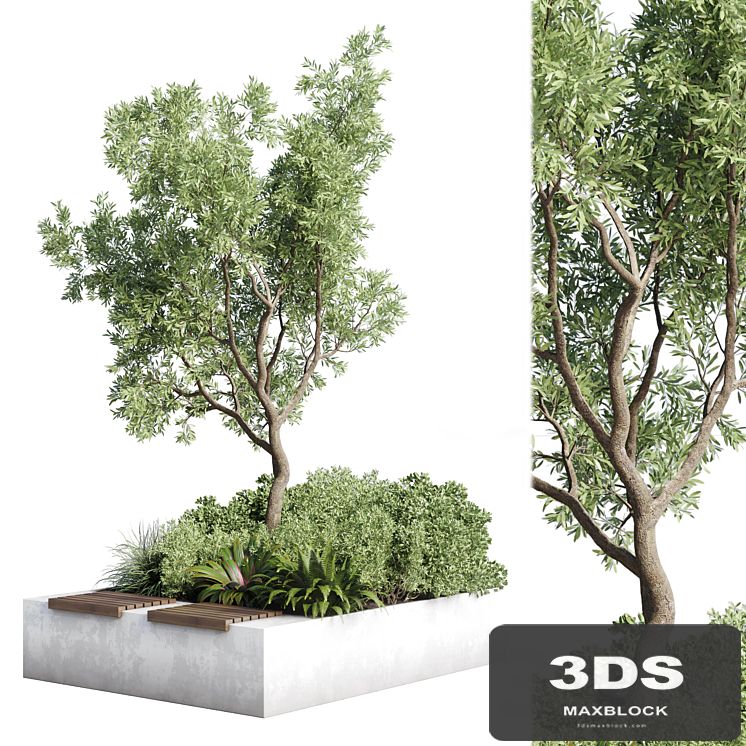 Urban Environment - Urban Furniture - Green Benches - Collection Plants and Tree 11