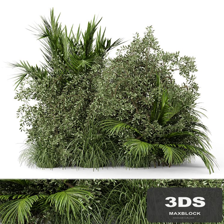 Outdoor Plants Bush-Bush Set 446