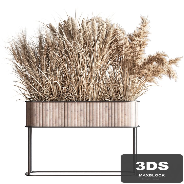 Indoor_Plant_Set_76(Dry_flowers_)