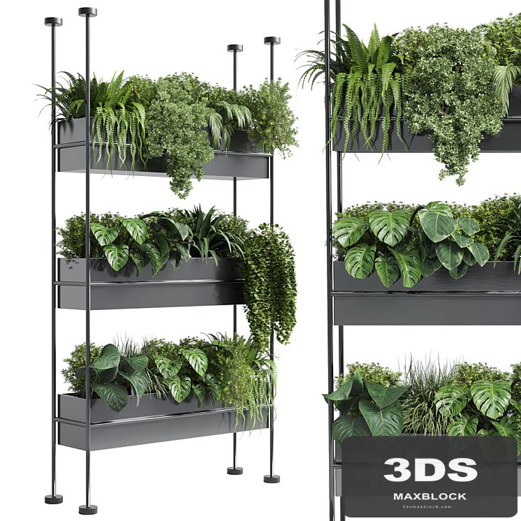 stand wall decor with shelves for the closet or showcase plants collection 179
