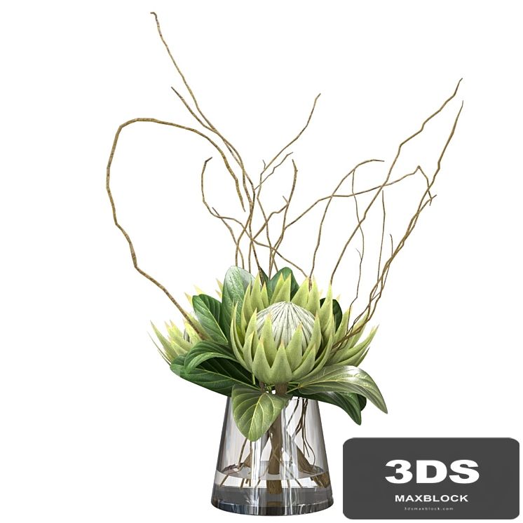 Green bouquet with protea