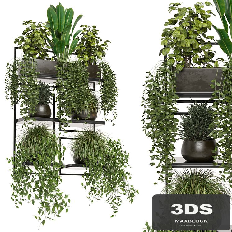 indoor plants in rusty concrete pot on metal shelf - Set 207