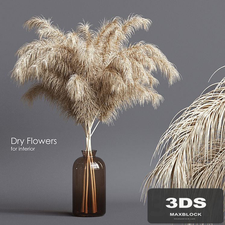Dry flowers 03