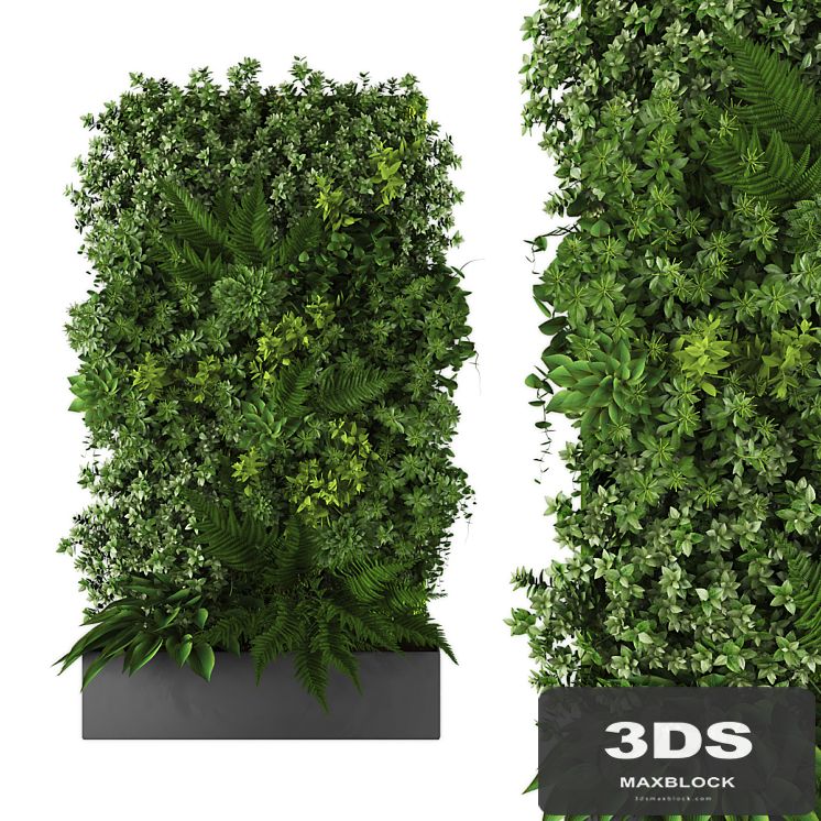 vertical garden167