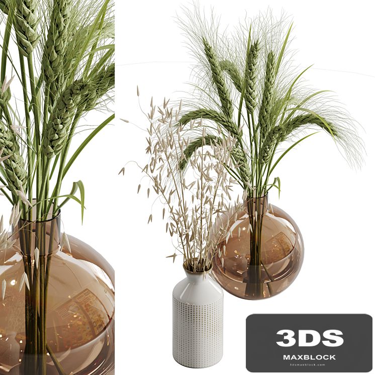 Dry plant set 02