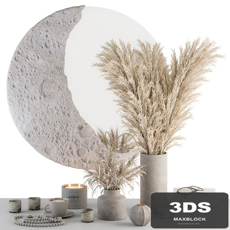 Decorative Set moon mirror with Dried Plant - Set 100